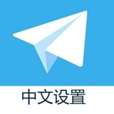 飞机中文包