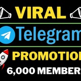 Best Promotion
