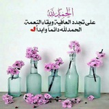 بوت تبادل السعيدة الملتـزمة