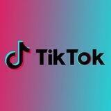 TikTok Downloader
