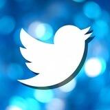 Twitter Bot[‼️Offline]