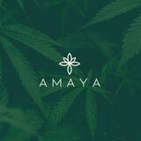 Amaya X Bot 🌊