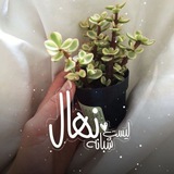 نهال شبانه🩵