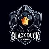 Black Duck VPN