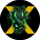 DragonX Scanner