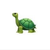 🐢 AMIN - VPN