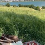 ⤶إيمان أحمد ⊁"🦋
