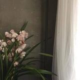 -دَعم نُونْ 3𝐤 المُحافِظ☀️🌿.