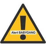 Segnalazioni babygang
