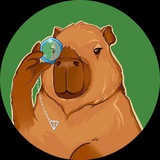 Capybara — Играть