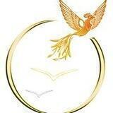 🌈🕊Global Peace Bot 🕊🌈