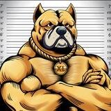 XLBully New Round Airdrop