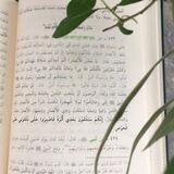 فسيلة!