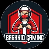 Bashkid Gaming bot