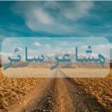 مشاعر سائر