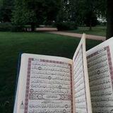 رَبِيعُ القُلُوبِ