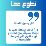 بوت تطوع معنا -جامعة صفوة- كلية التفسير-أكاديمية شفاء ومدكر