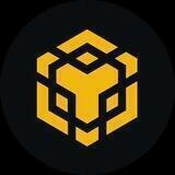 BNB Auto Payment Bot