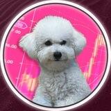 🐶 КОКСИК TON (AIRDROP & PRE-SALE)