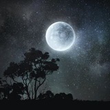 پیامرسان | 🌙Arshiya