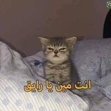 تـواصـل آح͜ــ๋͜ـم͜ــ๋͜ـد