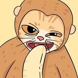 MONGY BOT