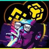 BNB AIRDROP SD