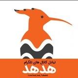 آدمین تبادلات هدهد