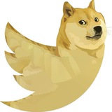 𝗗𝗼𝗴𝗲𝗣𝗮𝘆