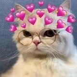 𝙄𝙥𝙝𝙤𝙣𝙚 𝙎𝙝𝙤𝙬"♡