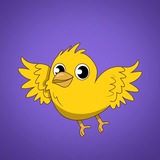 Flybirdie