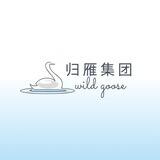 【归雁集团】知音 专用机器人
