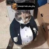 آپلودر مرحوم چنگیز هاب