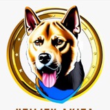Dog meme coin series airdrop