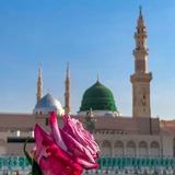 بوت تواصل دورة في حب الحبيبﷺ