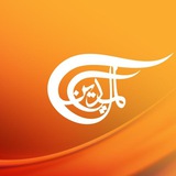 شبكة الميادين الإعلامية - شارك