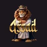 The Assad Game