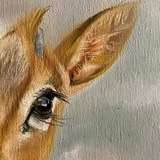 ﺭُﯙﺡْ (اِﺑْنَةُ اﻟﺻِّدِّيْقِ)