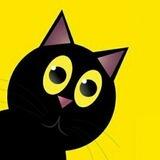 Black Cat Bot