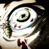 Anime Report