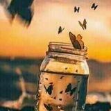 بوت قناة "كُلكم راعٍ.."