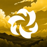 Bloom BSC