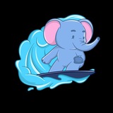 Slon VPN