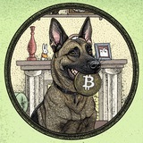 CZ dog