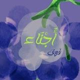 🍇| تواصل مع فريق أجناء.