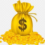 US DOLLAR PROFIT 🇱🇷