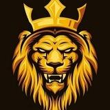 تواصل معا قـ͢ـنَآصٓ. آݪمٛـِۘـدٕيٰـنَُه