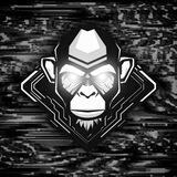 Insta Ape Bot