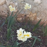 بوت عام°°•