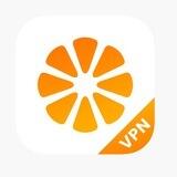 Orange VPNs